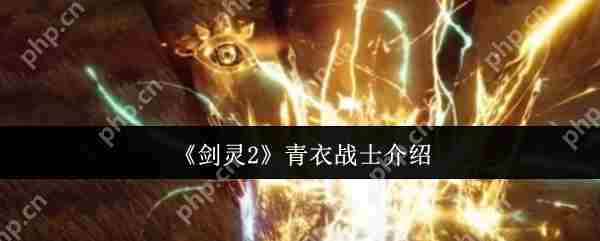 剑灵2青衣战士深度评测与实战方法