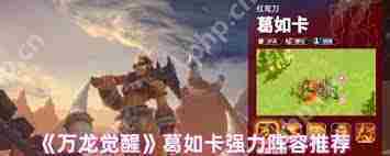 万龙觉醒葛如卡高效配队策略介绍