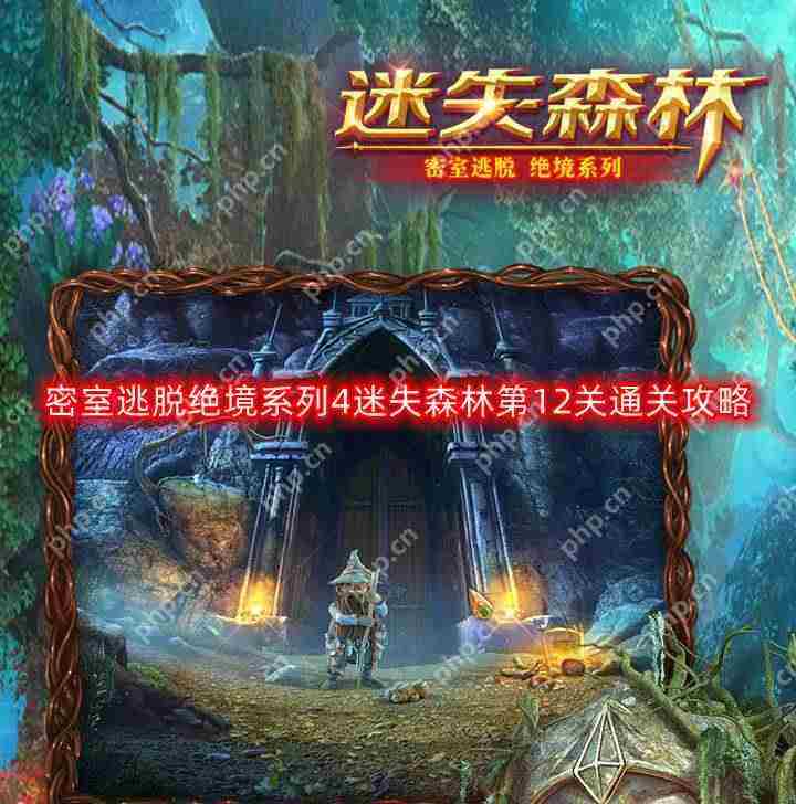 迷失森林第十二关攻略 绝境系列4通关介绍
