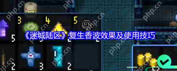 迷城陆区复生香波评测与实战攻略