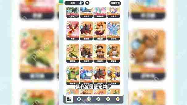 曙光重临橙色宠物实力排行曝光