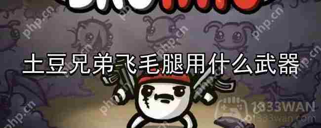 土豆兄弟飞毛腿武器推荐方法