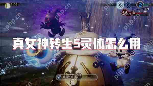 真女神转生5灵体使用攻略