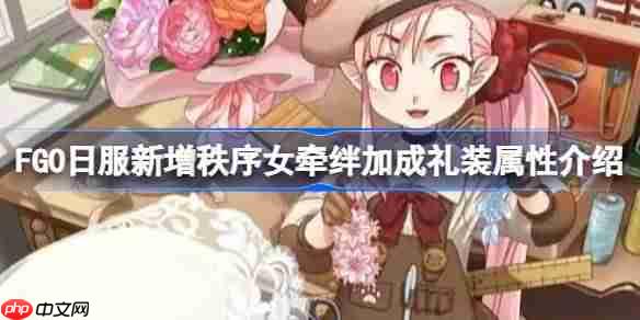 FGO日服新增秩序女牵绊礼装属性介绍推荐