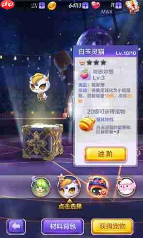 天天酷跑3D白玉灵猫性能深度介绍