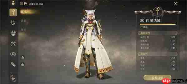 FF14水晶世界白魔法师镶嵌属性攻略