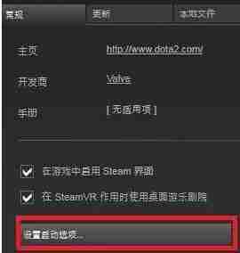 dota2国服启动项没用 dota2国服启动项操作说明