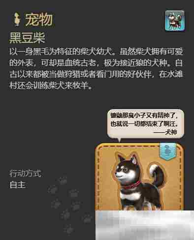 最终幻想14：水晶世界黑豆柴宠物如何获得 黑豆柴宠物获得方法