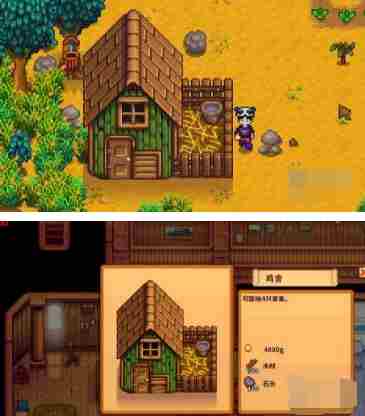 星露谷物语怎么养鸡 养鸡玩法攻略