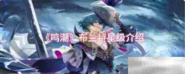 《鸣潮》布兰特星级介绍