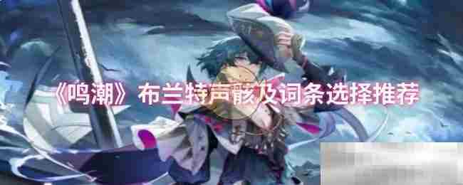 《鸣潮》布兰特声骸及词条选择推荐