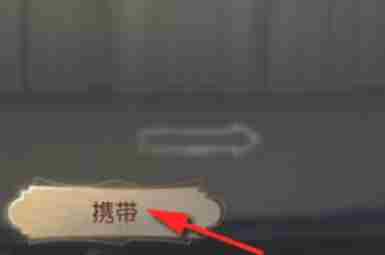 第五人格怎么携带宠物随从？-第五人格携带宠物随从的方法
