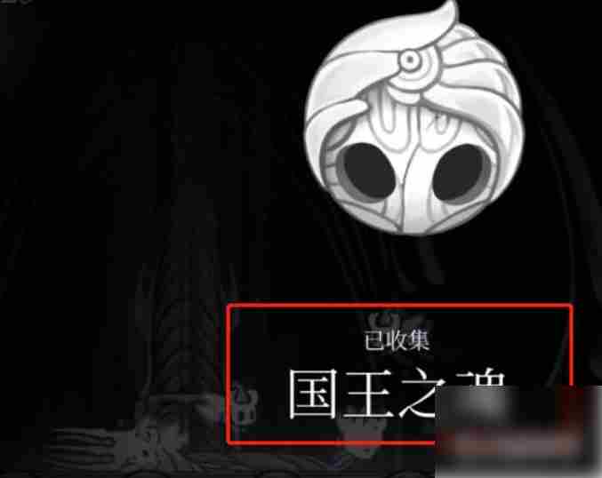 空洞骑士怎么换皮肤 空洞骑士皮肤获得方法