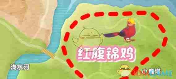 《心动小镇》新春季第3周4只鸟位置