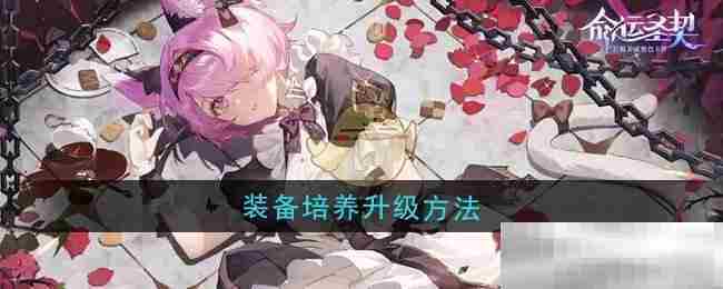 《命运圣契》装备培养升级方法