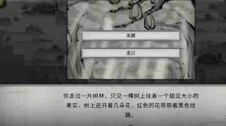 《鬼谷八荒》随机奇遇有哪些 随机奇遇汇总