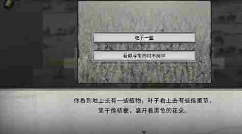 《鬼谷八荒》随机奇遇有哪些 随机奇遇汇总