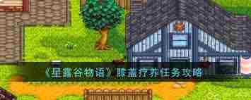 星露谷物语如何完成膝盖疗养任务 星露谷物语膝盖疗养任务攻略