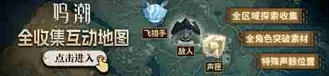 鸣潮菲比如何搭配队伍提升输出-鸣潮菲比队伍搭配及输出手法全攻略