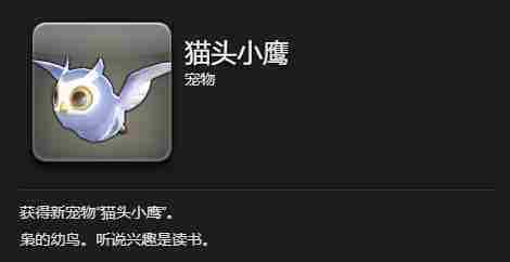 最终幻想14水晶世界猫头小鹰宠物怎么获取 猫头小鹰宠物获取攻略