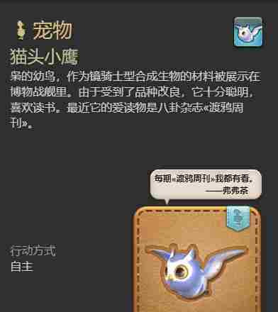 最终幻想14水晶世界猫头小鹰宠物怎么获取 猫头小鹰宠物获取攻略