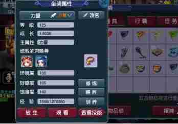 梦幻西游坐骑怎么加点2025 各门派坐骑加点推荐
