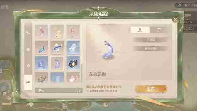 《无限暖暖》绸带鱼去哪里采集 绸带鱼采集点位分享