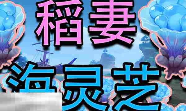 原神海灵芝在哪里 海灵芝采集大全