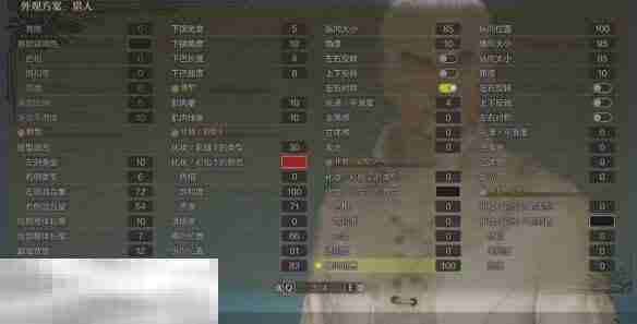 怪物猎人荒野捏脸数据分享 白次男经典造型还原