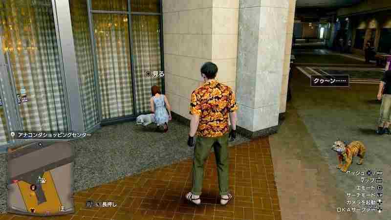 如龙8外传救护动物位置大全一览-如龙8外传救护动物去哪找