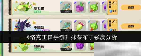 《洛克王国手游》抹茶布丁强度分析