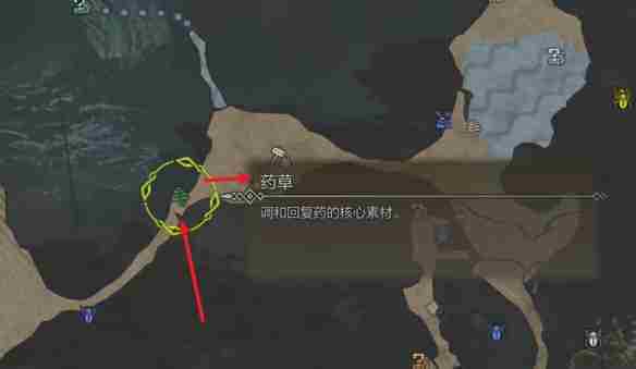 怪物猎人荒野营地在哪-怪物猎人荒野营地位置攻略