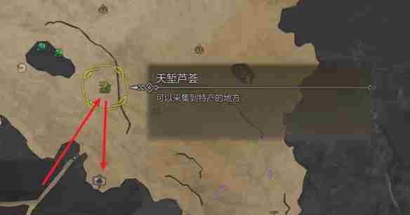 怪物猎人荒野营地在哪-怪物猎人荒野营地位置攻略