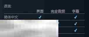 AIR支持中文吗 游戏支持语言一览