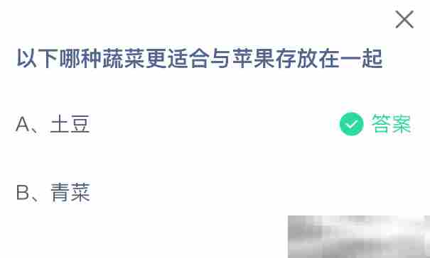 以下哪种蔬菜更适合与苹果存放在一起