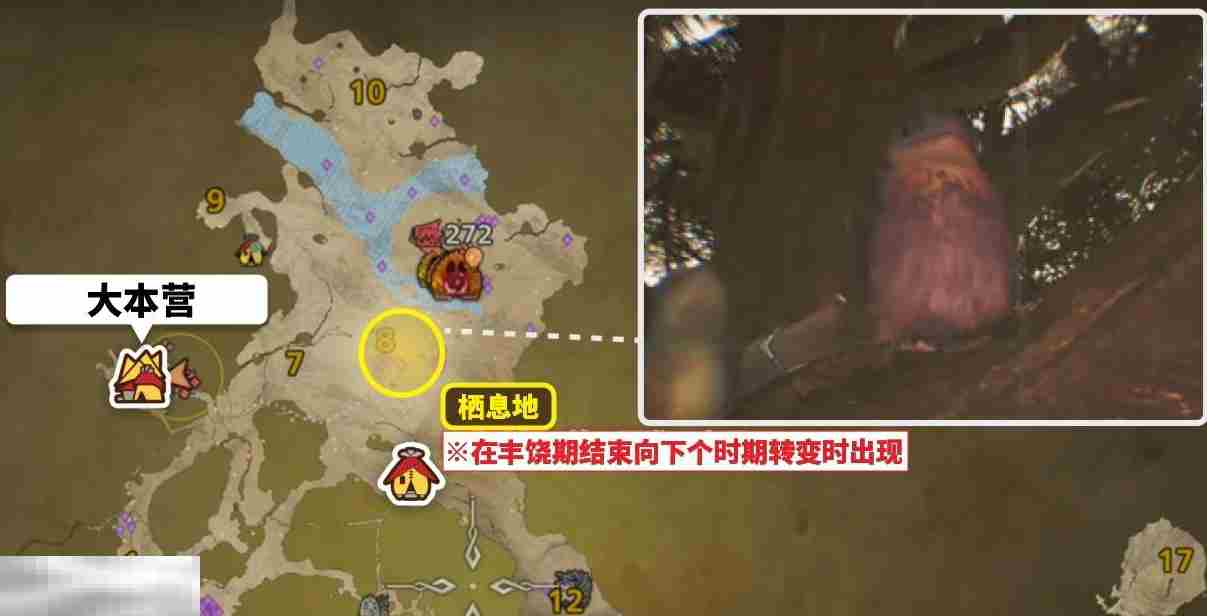 怪物猎人荒野美声歌鸮怎么抓 美声歌鸮捕获方法介绍