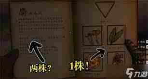 天国拯救2新手村草药分布在哪里 天国拯救2新手村草药点位分布详解
