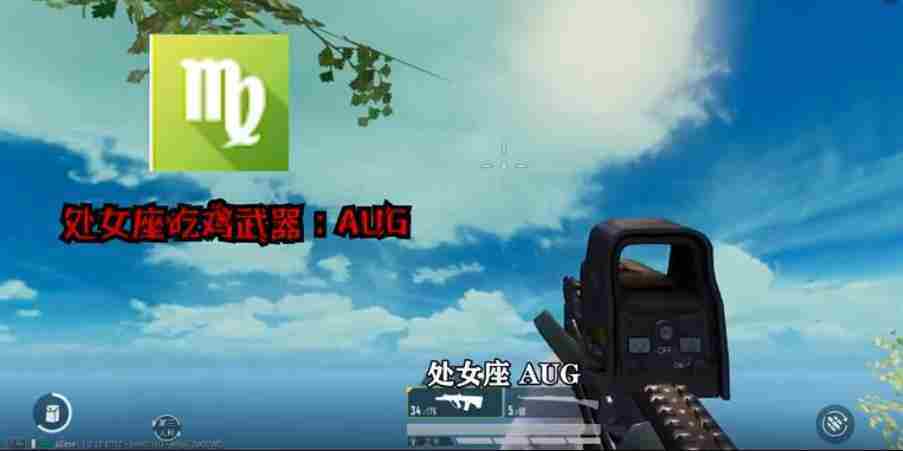 和平精英12星座吃鸡专属武器介绍