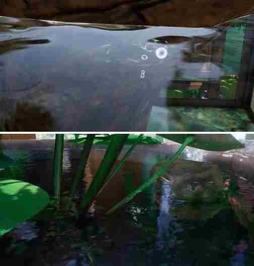 开放空间装水怎么做 装水方法