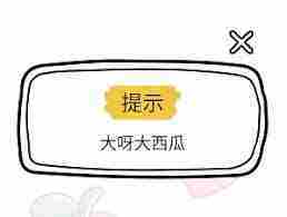 脑洞大师如何给猫咪洗澡-脑洞大师给猫咪洗澡的方法