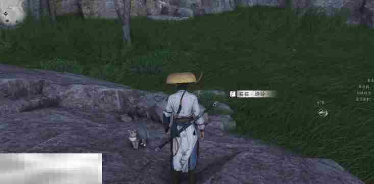 燕云十六声清河太平钟楼猫戏在哪里 清河猫戏位置一览