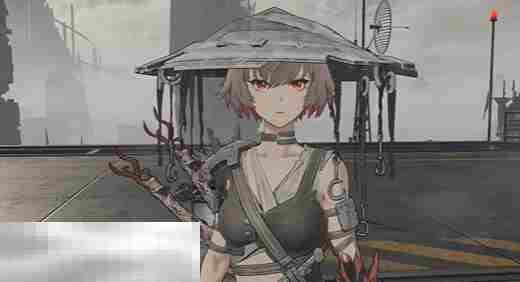 无限机兵猎人轻甲+鱼鹰斗笠服装展示 无限机兵全服装一览