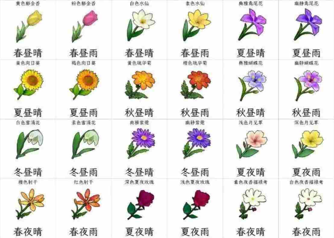 开放空间收集物及获取时间一览