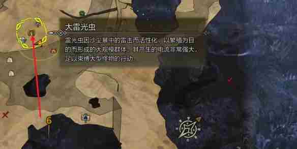 怪物猎人荒野大雷光虫在哪里