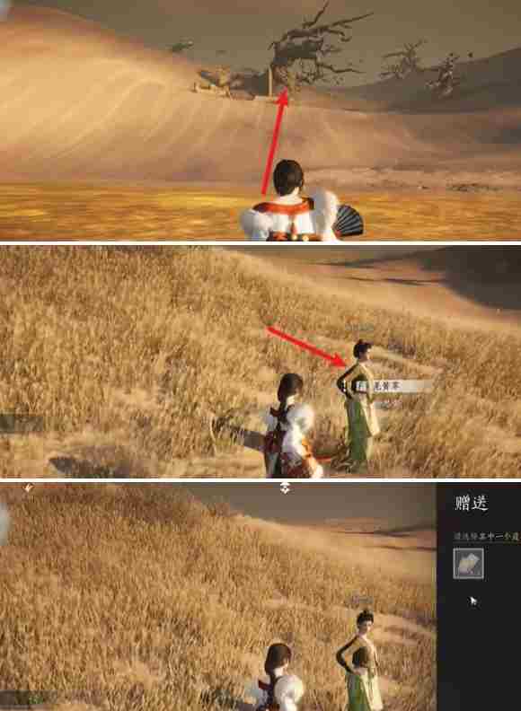 燕云十六声与卿书任务怎么做 万事知与卿书任务攻略