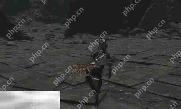 无限机兵侵蚀机兵对剑收集指南 武器获取位置分享
