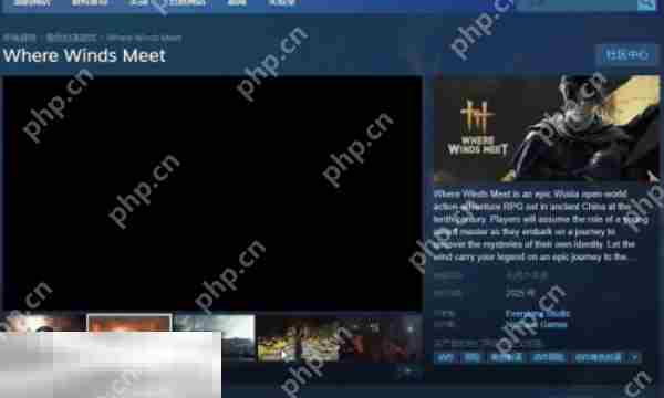 燕云十六声steam叫什么 燕云十六声steam名字介绍