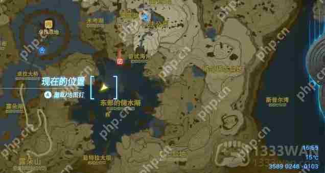 王国之泪卓拉护胫怎么获得-卓拉护胫获得方法