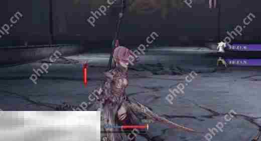 无限机兵圣职者长袍怎么获取 无限机兵全服装收集攻略