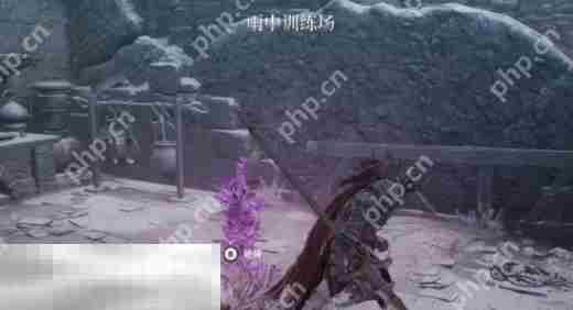 第一狂战士卡赞最后的讨伐章节攻略路线 全流程攻略